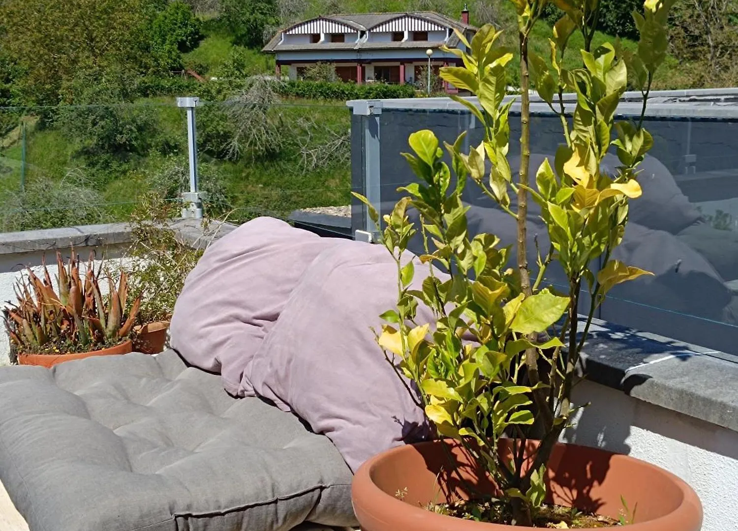 Apartment Plena Naturaleza En Pleno San Sebastian